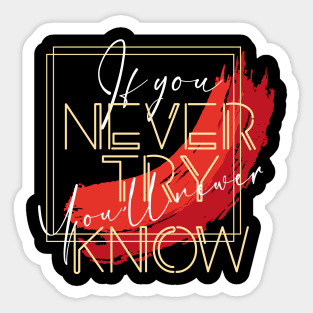 If You Never Try you’ll Newer Know Sticker